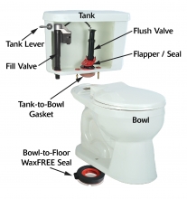 Anatomy of a Toilet