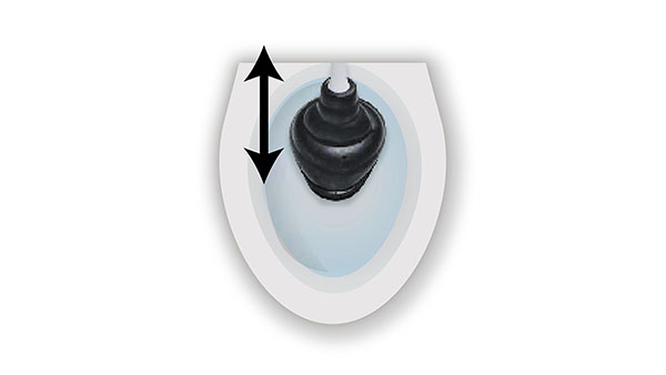 begin push-pull movements