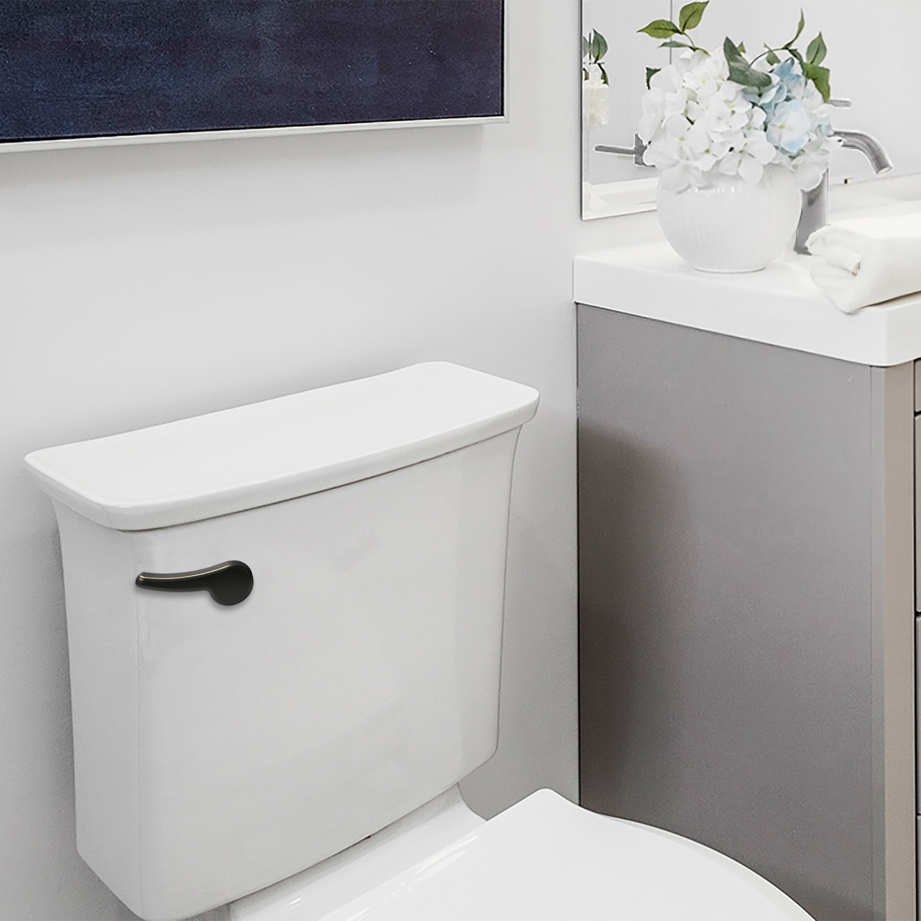 matte black toilet handle in bathroom