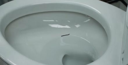 mark a line in the toilet bowl at the water level