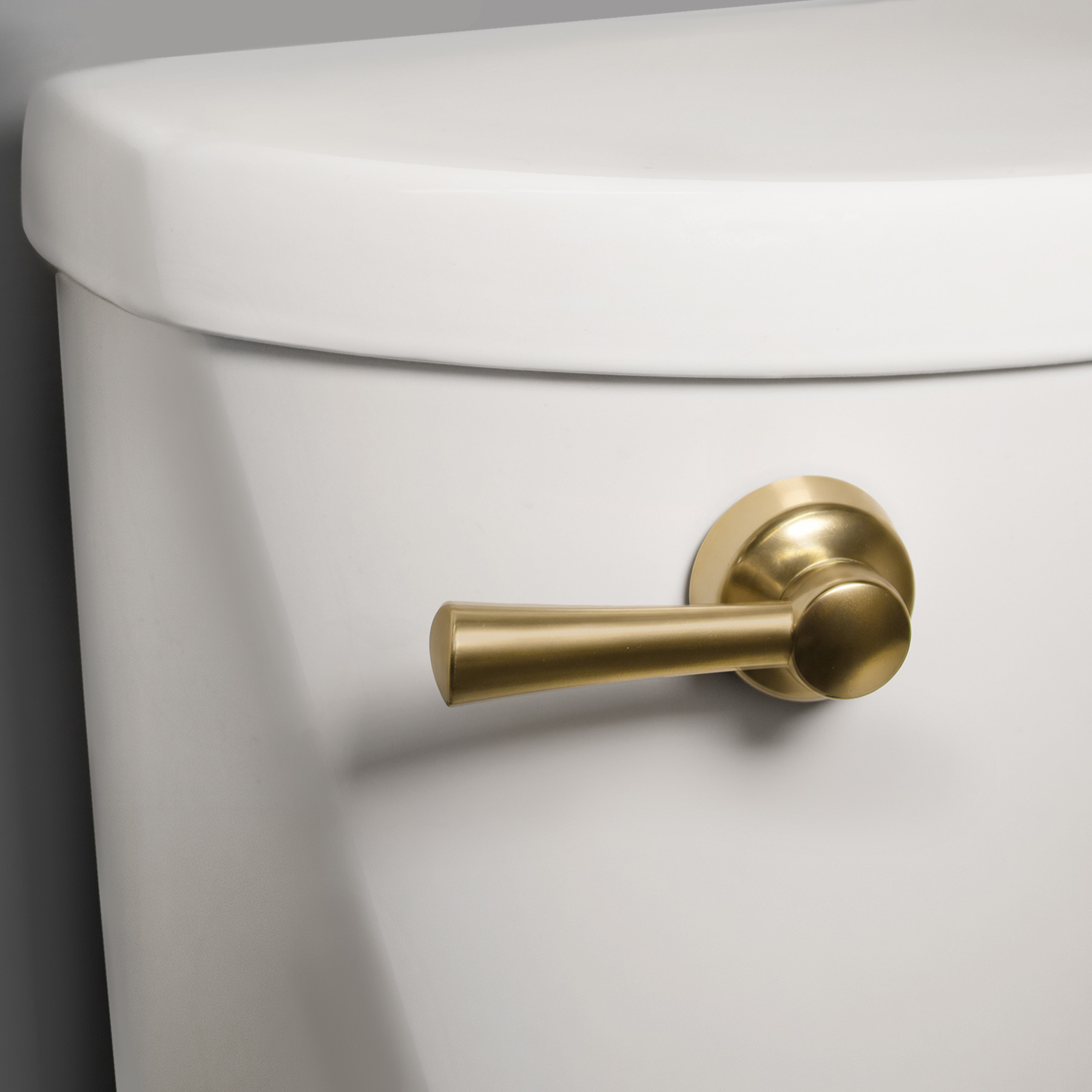 brushed gold toilet handle