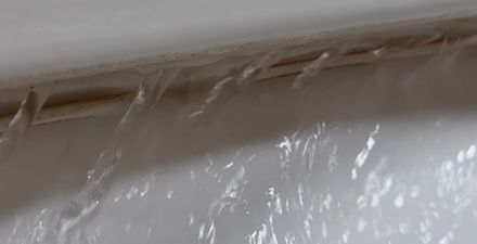 rim jets of a toilet flushing water